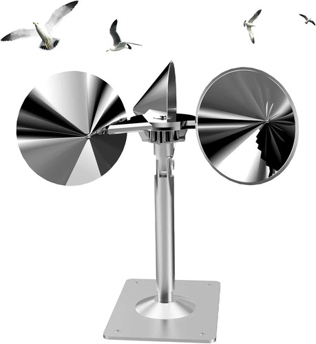 Bird gone reflect - bird,