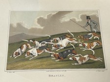 Rare Print Henry Thomas Alken