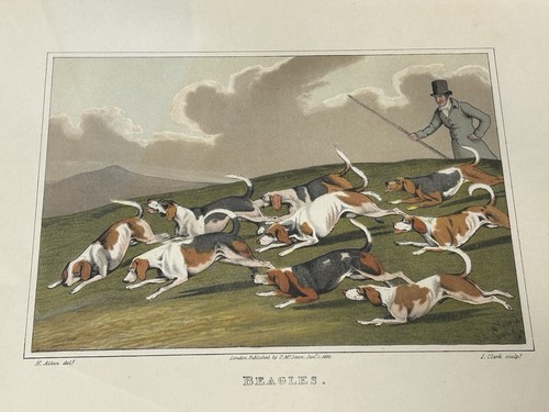 Rare print henry thomas alken - henry,