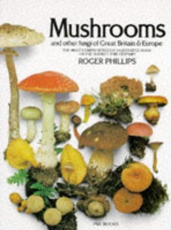 Mushrooms and other - and, fungi