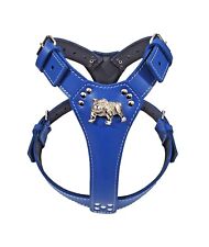 Unique Royal Blue Leather Dog Harness Large with English Bulldog Badge