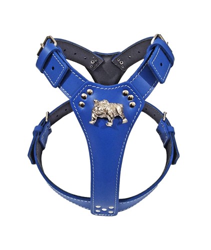 Unique royal blue leather dog - unique,