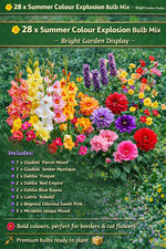 28 x Summer Flower Bulbs Mix