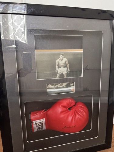 Authentic everlast red boxing - red,