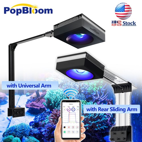 Popbloom rl90 wifi - popbloom, led