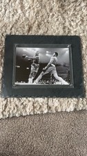 Muhammad ali boxing sport - muhammad,
