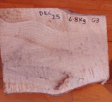 Fresh Cut  woodturning blank