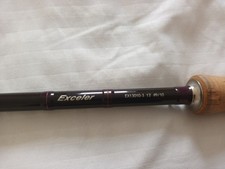 Daiwa "Exceler" 13ft Salmon