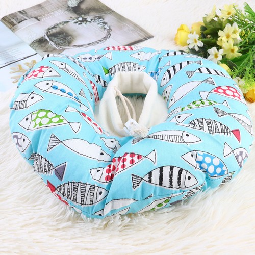 Cat anti lick - cat, collar