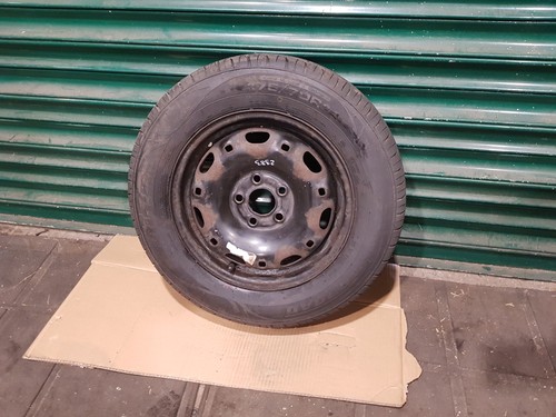 Polo 14 inch - polo, 14"
