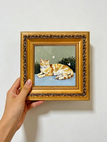 Orange cat rest white - orange, rest,white
