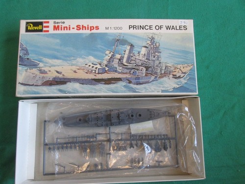 Prince wales revell - wales,