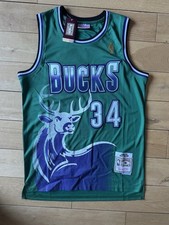 Milwaukee Bucks NBA Hardwood