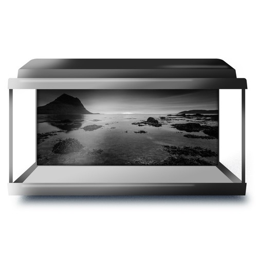 Fish tank background 90x45cm - fish,