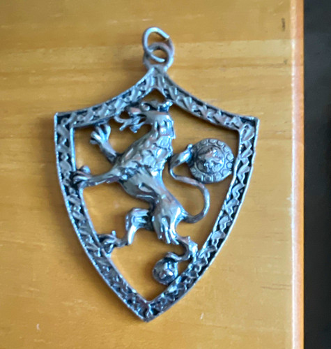 Vintage heraldic shield - vintage,