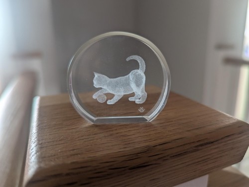 Glass etched cat - 3d, with