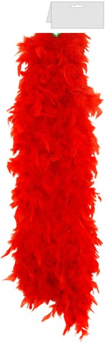 Fancy dress feather boa 150cm - fancy,