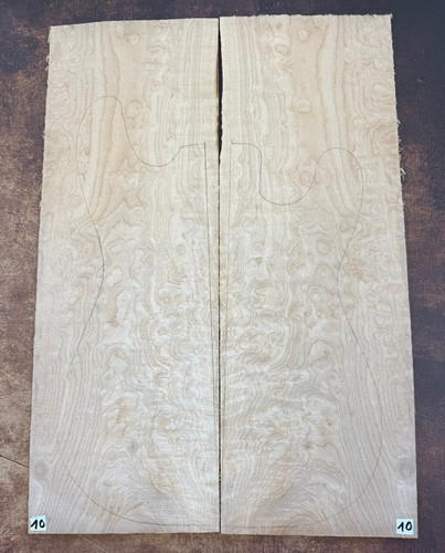 Shell maple droptop - maple,
