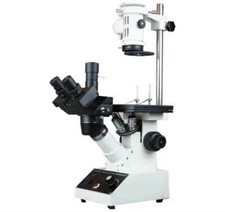 Inverted Microscope — Tissue