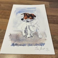 Watercolour Painting Jack Russell Dog Unframed
