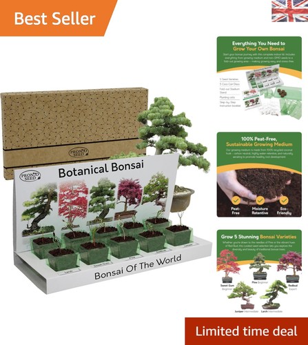 Complete indoor bonsai - complete, tree
