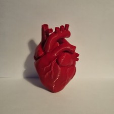  Human Anatomical Heart  replica. Biology  wedding gift. Love , Valentine 