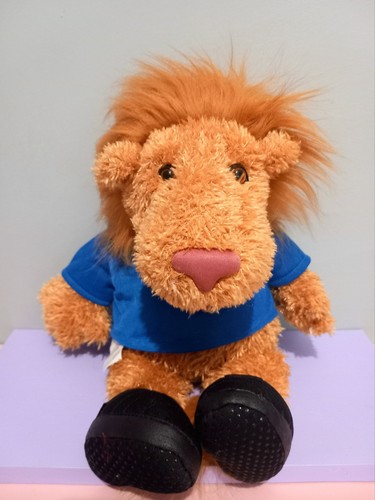 Nici fifa world cup germany - nici,