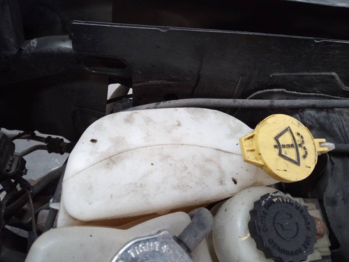 Windscreen washer bottle - washer,