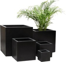 Primrose Garden Outdoor Black