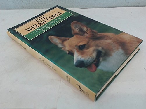 The welsh corgi kaye - welsh,