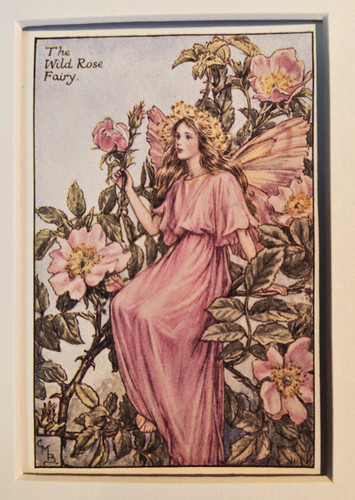 Vintage flower fairies print - vintage,