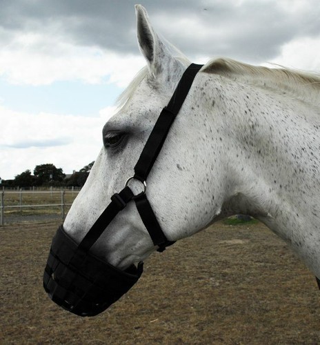 Rhinegold grazing muzzle - grazing,