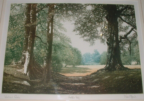 Mark spain woodland glade - spain, –