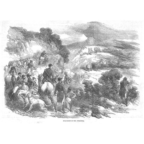 Boar hunt the pyrenees - the,