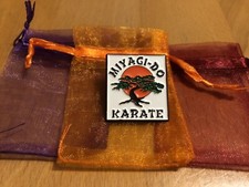 Miyagi-Do Cobra Kai Karate Kid