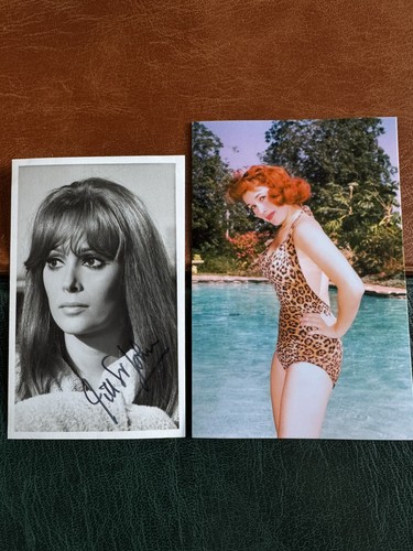 Jill john vintage - john,