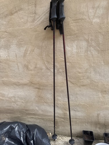Ski hiking sticks - hiking,