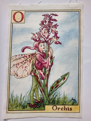 Orchis alphabet letters - o,