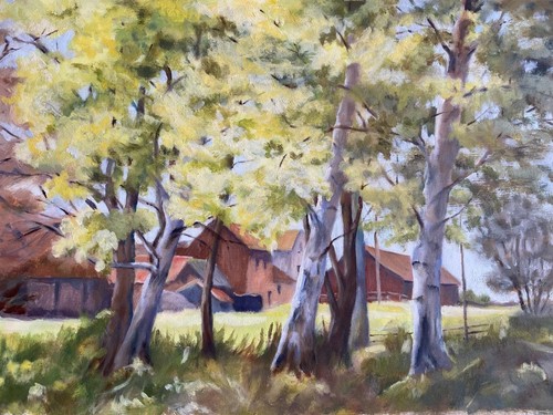 Farm buildings from the trees - farm,
