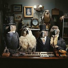 Wevie Stonder : Sure Beats