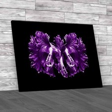 Dragon Siamese Fighting Fish