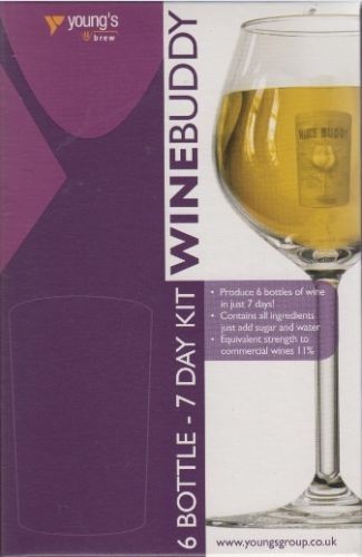 Wine buddy home brewing - home, kit