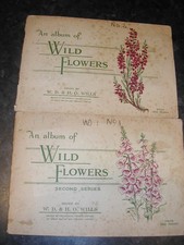 Wills Cigarette Cards WILD