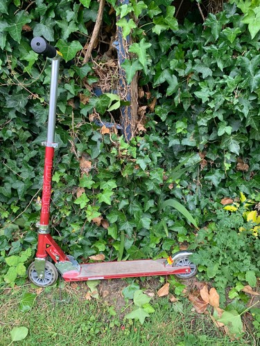 Bug street folding scooter - bug,