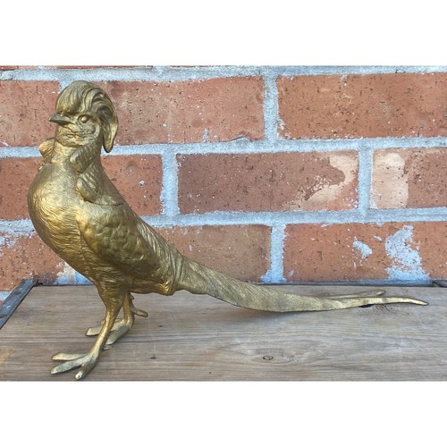 Signed usa pheasant - signed,