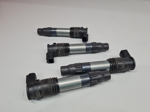 Kawasaki 1000 2016 coil - 1000,