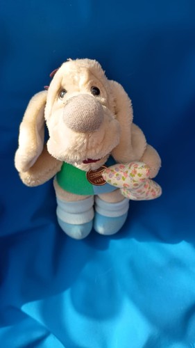 Rhtf small wrinkles dog - rhtf,