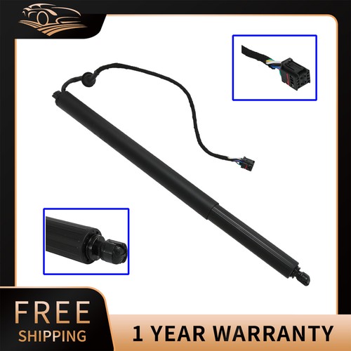 Rear electric tailgate gas - rear,
