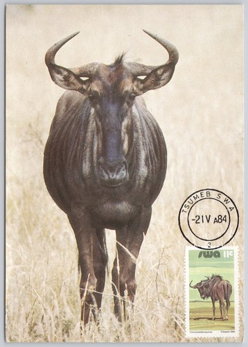 1984 south west africa - south,