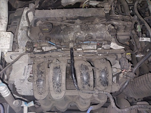 Engine ford ecosport - engine, (cbw)